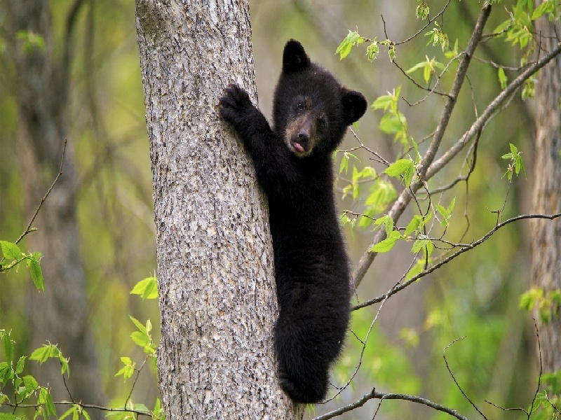 试管 试纸强阳(什么是刻度试管)